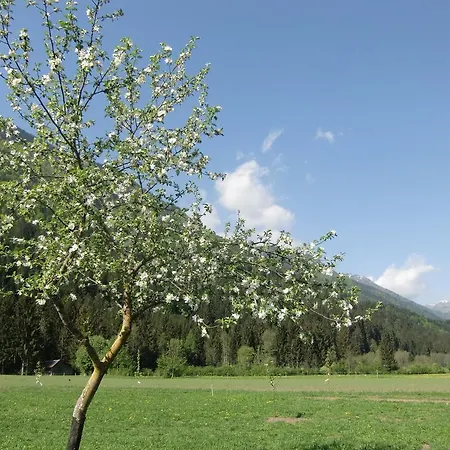 Sturm Dellach (Hermagor)